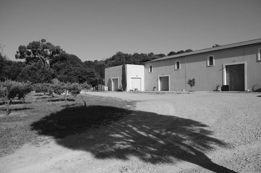 dscf9606.jpg