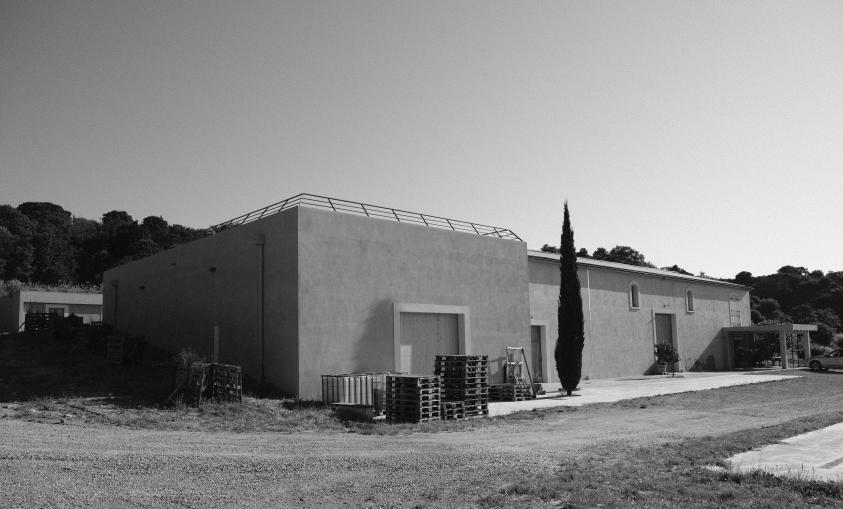 dscf9619.jpg