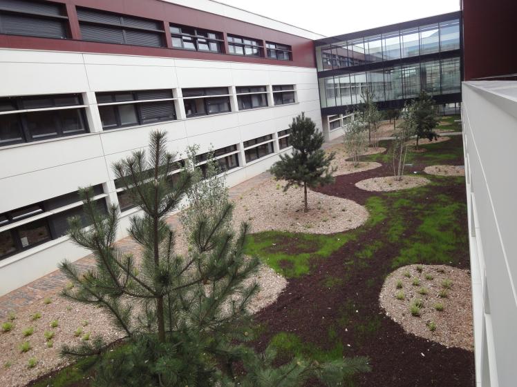 2010-05-27_8.jpg