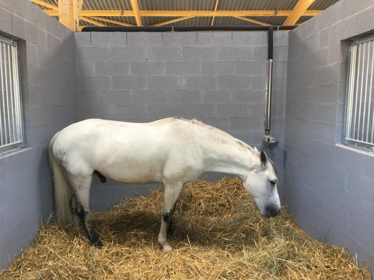 centre_equestre_3.jpg