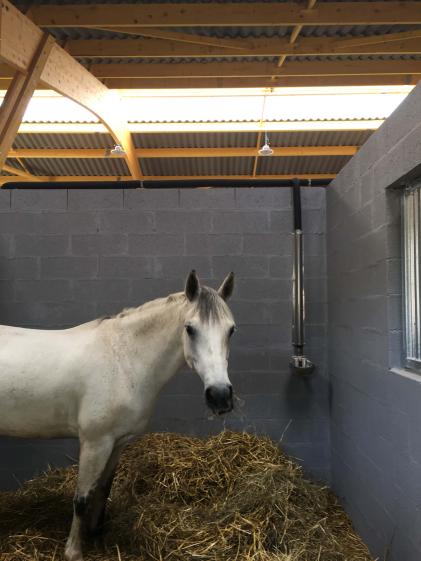 centre_equestre_6.jpg