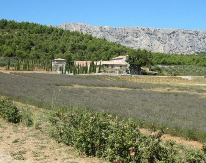 photo.jpg