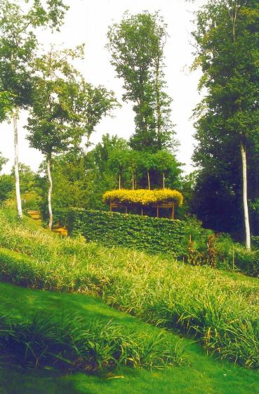 jardin-de-loin.jpg