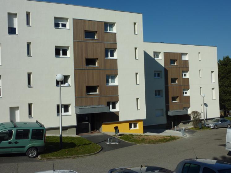p1010860.jpg