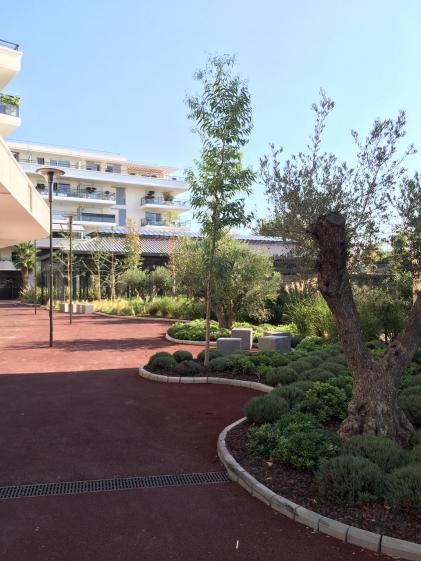 Villa  Matisse