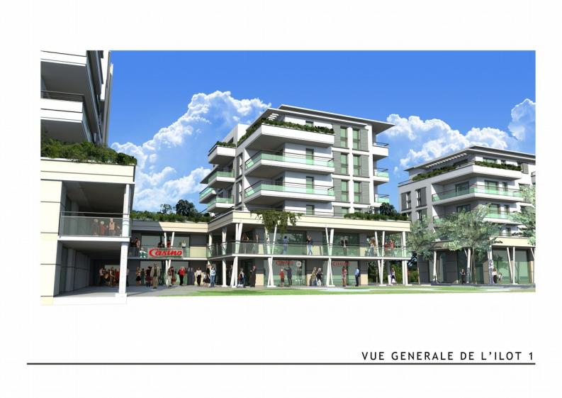 16_vue_generale_de_lilot_1.jpg