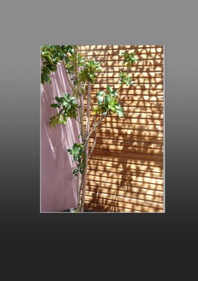 arles_1.jpg