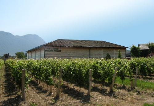 stockage-vins-image-une.jpg