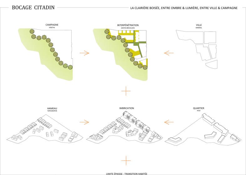 bocage_citadin_2.jpg