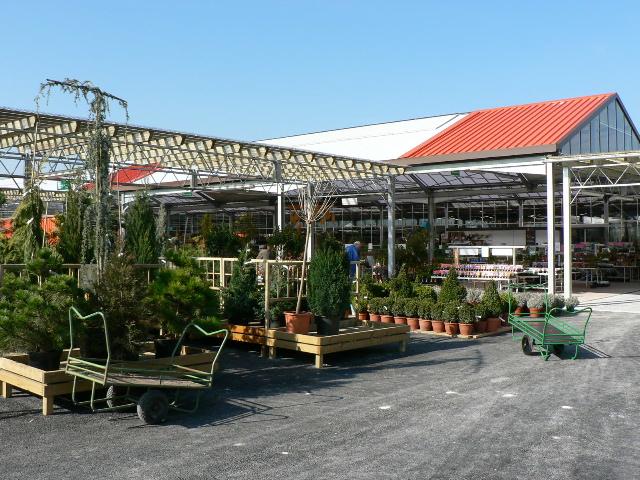 p1060175.jpg