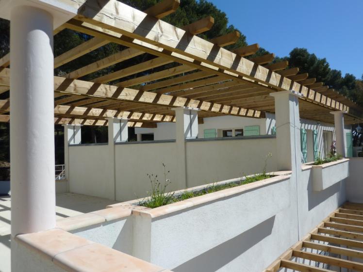 pinedes3.jpg