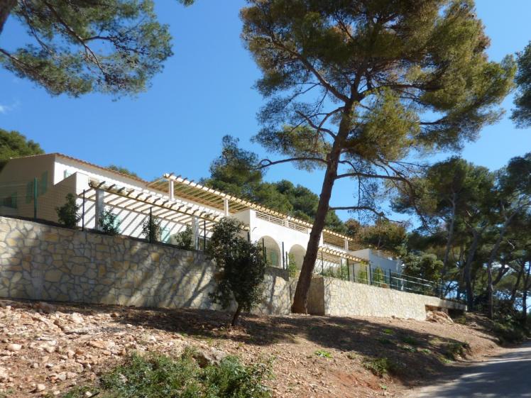 pinedes4.jpg