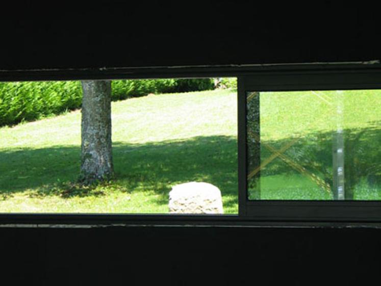 08.jpg