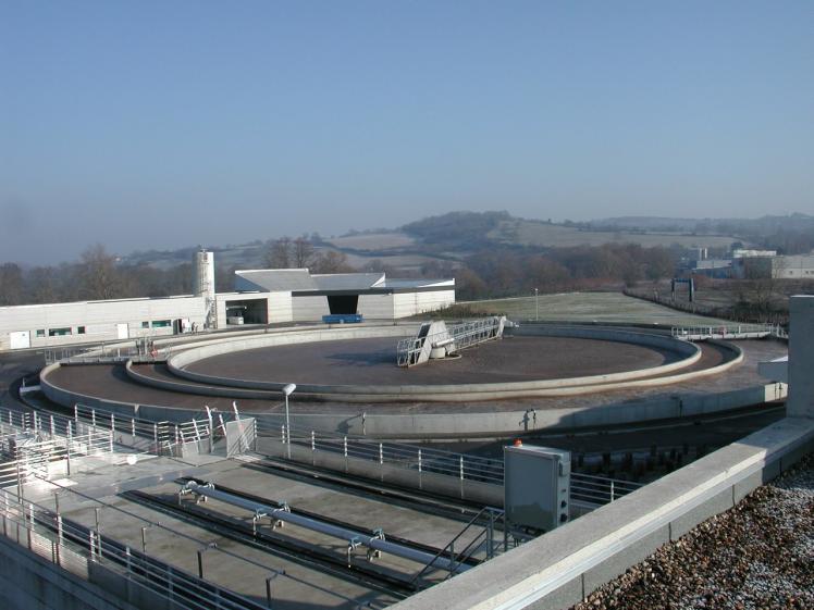 215-stepvichy.jpg