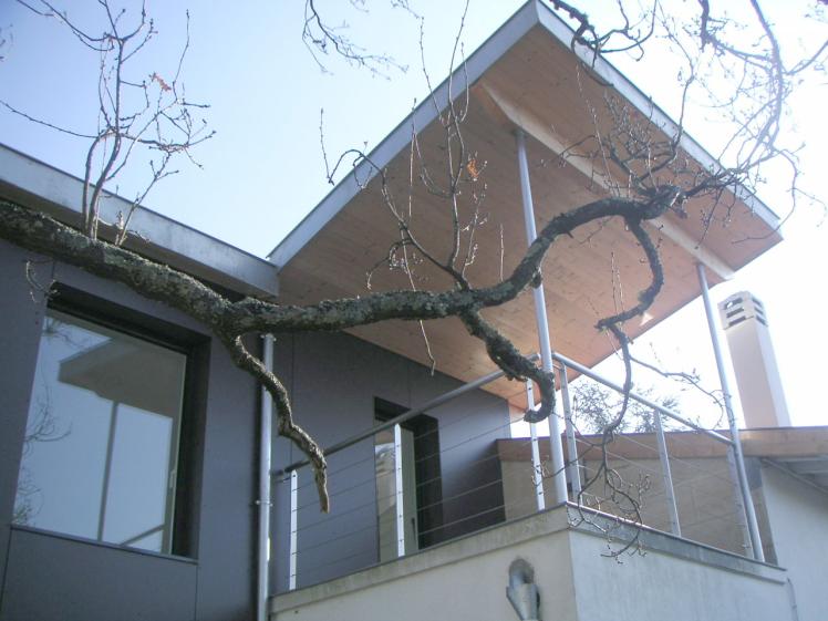 pict0187.jpg