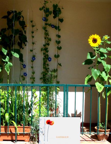 balcon_agence.jpg