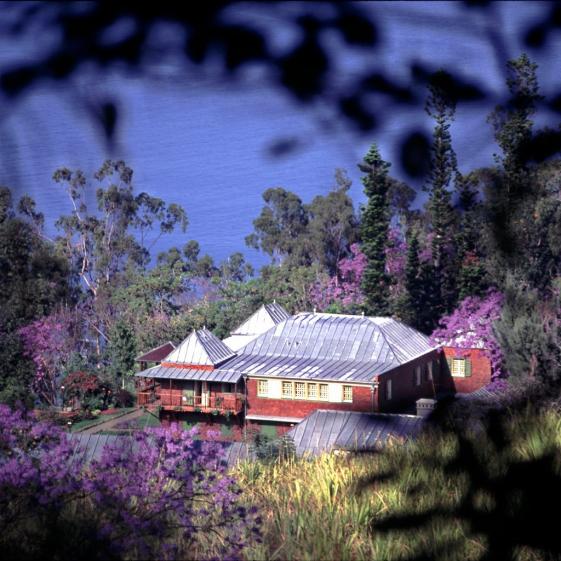 douris-c05-c-r.jpg