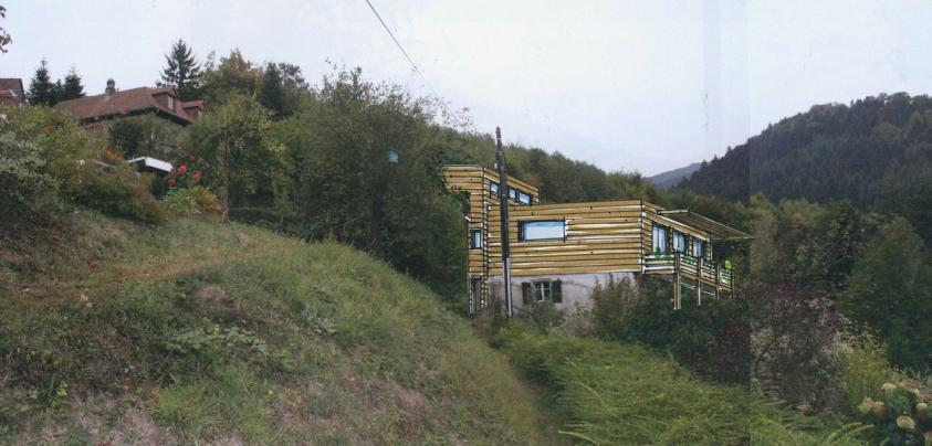 reha1.jpg