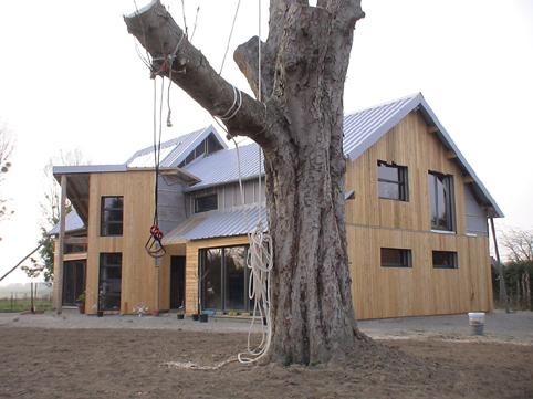 jub_2_150.jpg