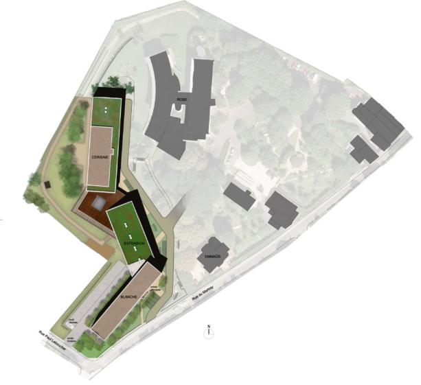 zem02_planmasse.jpg