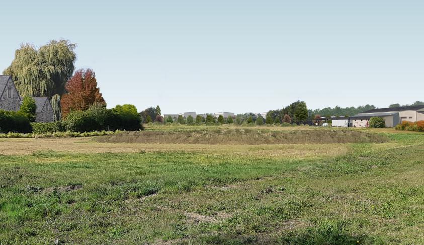 apij_angers_vue_01_arbresp_r.jpg