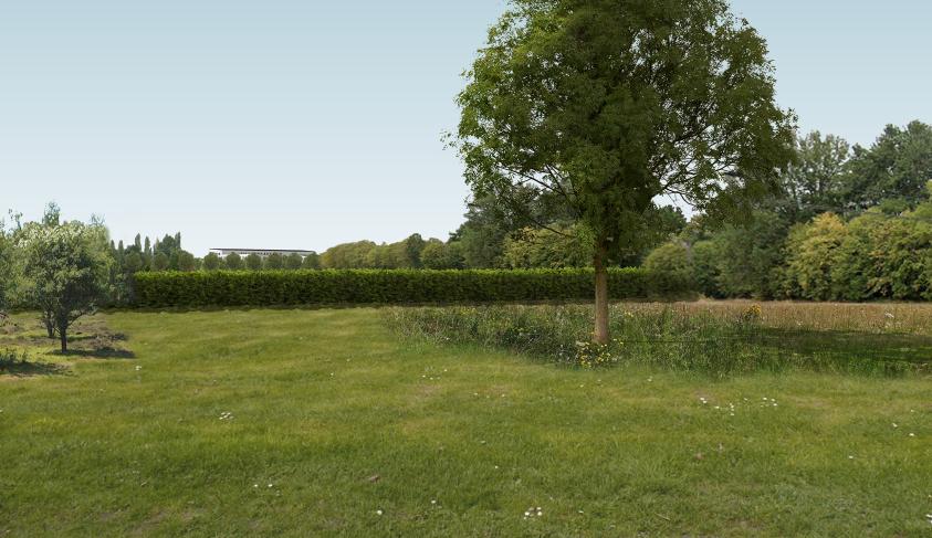 apij_angers_vue_02_arbresp_r.jpg