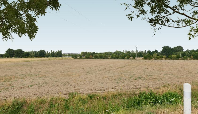 apij_angers_vue_03_arbresp_r.jpg