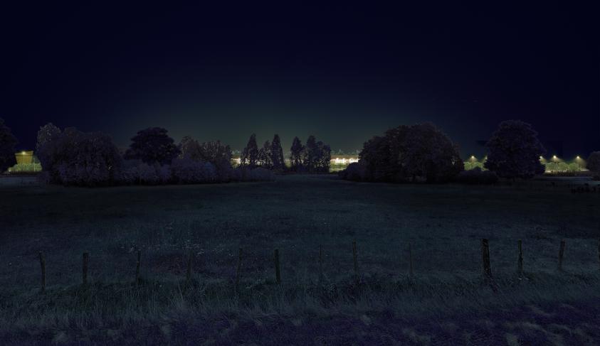 apij_angers_vue_04_arbres_p_nuit4r.jpg