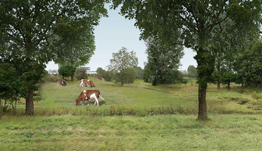apij_angers_vue_05_arbresp_r.jpg