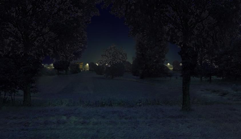 apij_angers_vue_05_arbresp_r_nuit2r.jpg