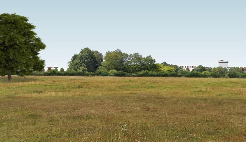 apij_angers_vue_06_arbresp_r.jpg