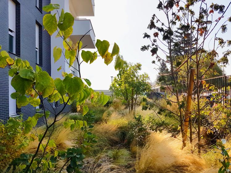 jardin en pied d'immeuble