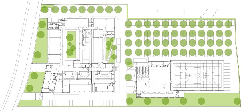 EXTENSION DE LA FACULTE DES SPORTS - LIEVIN: plan de RDC 2017