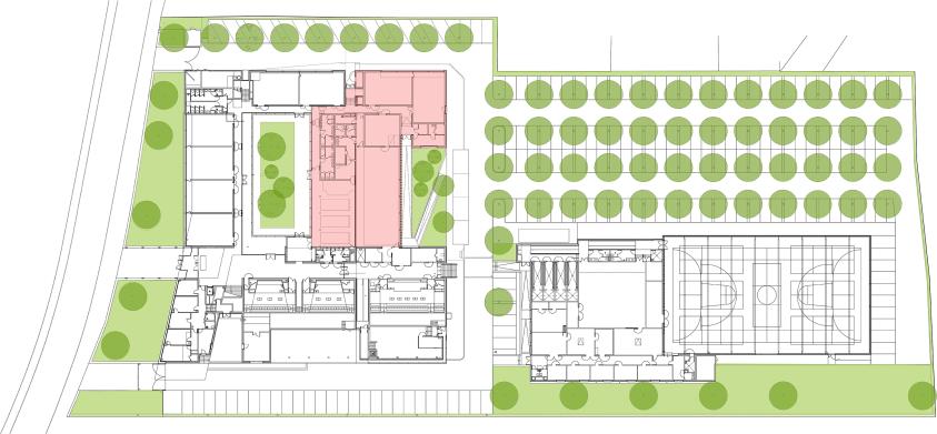 EXTENSION DE LA FACULTE DES SPORTS - LIEVIN: plan de RDC - extension 2017