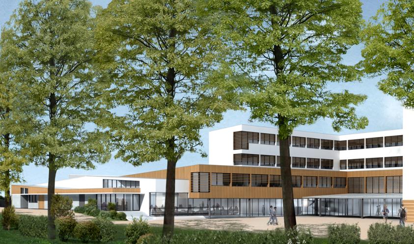vue perspective sur la cour