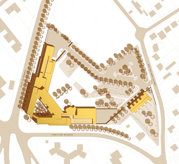 plan masse