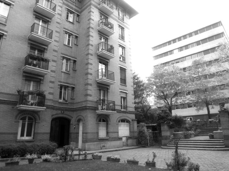 sdc10191_nb.jpg
