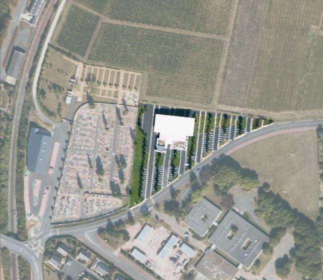 r_montreuil_bellay.jpg
