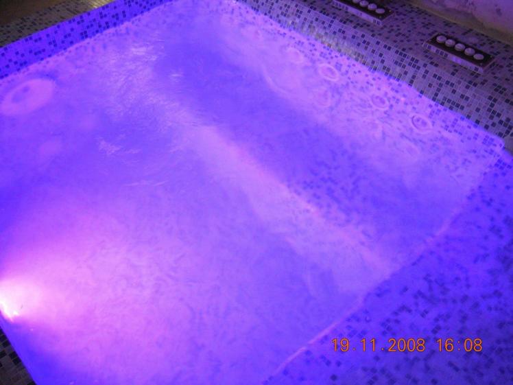 dscn00013-spa-violet.jpg