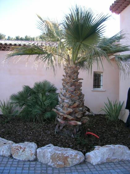 dscn3395.jpg