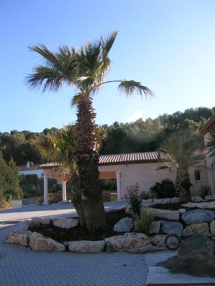 dscn3396.jpg