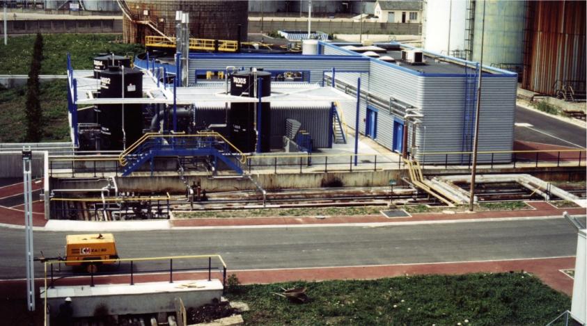 shell_1.jpg