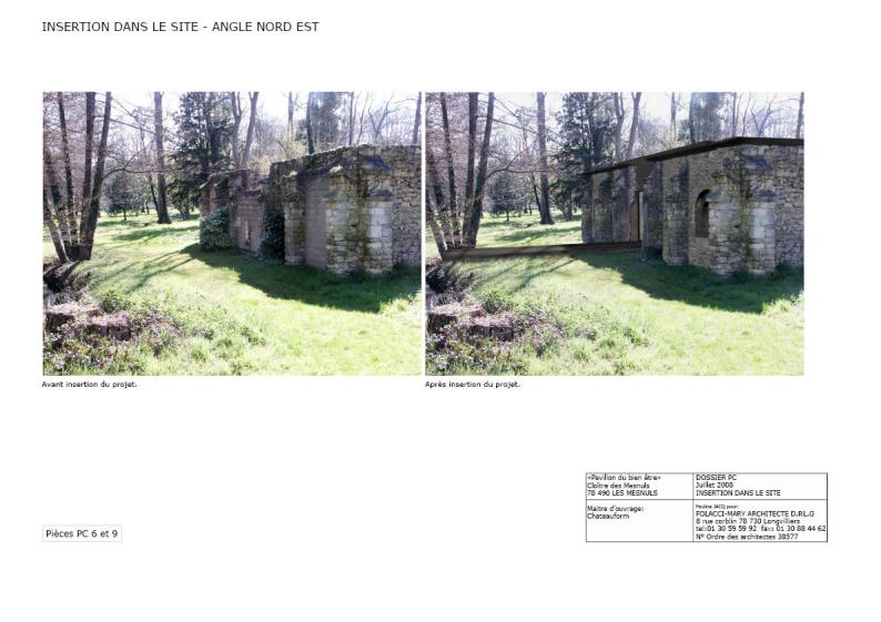 photomontage_mesnuls_1.jpg