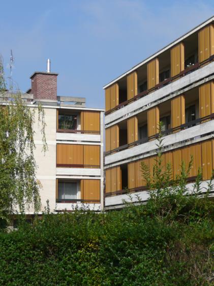 ml-24.jpg
