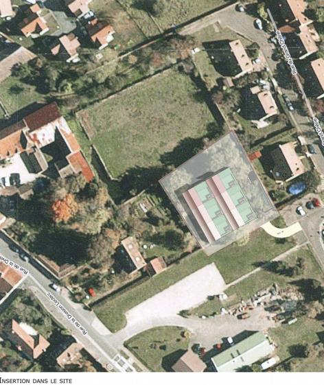 photomontage.jpg