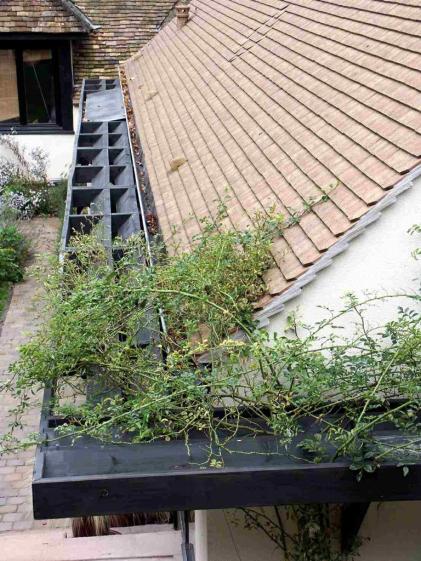 brise_soleil_2.jpg
