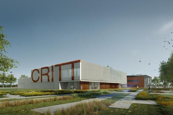 critt-04.jpg