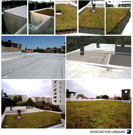 toulouse_renovation_thermique.jpg