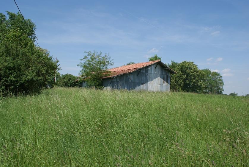sirac_01.jpg