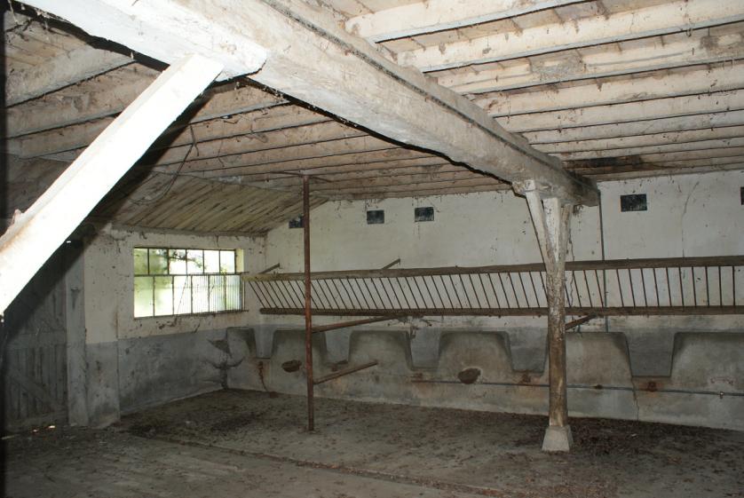 sirac_07.jpg